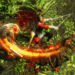 Path of Exile