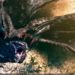 Monster Hunter 4G Gore Magala