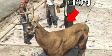 在 GTA V 里变成动物杀人放火