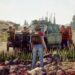 《State of Decay 2》正式公布发售日期！5月一起合作虐杀僵尸！