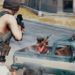 《PUBG》限时事件—War Mode正式开放!只限30人互相残杀!