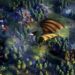 Steam大派好礼！回合制策略游戏《Eador. Masters of the Broken World》免费送！