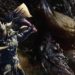 《Monster Hunter: World》PC版将在8月发售!售价为RM139!