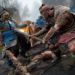 Steam派送福利时间！多人热血战斗游戏《For Honor》新手版限时免费领取！