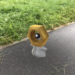 《Pokemon GO》出现神秘新生物！捕获就变成Ditto或Chikorita！