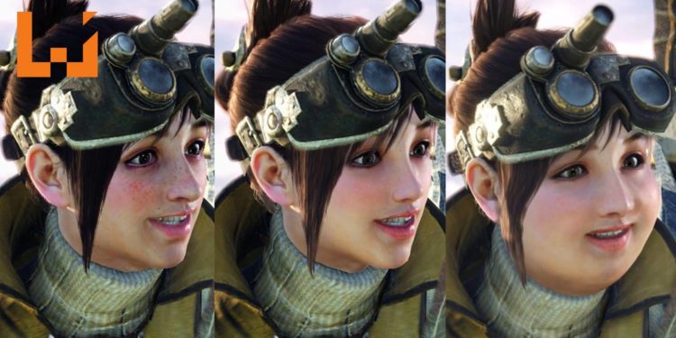 《Monster Hunter: World》PC版Mod开始崛起？！化妆打扮或放弃治疗由你决定！
