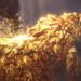绚辉龙将在11月登陆《Monster Hunter: World》PC版！金光闪闪的古龙即将登场！