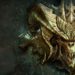 传言《Diablo IV》已经在制作当中！风格偏向《Diablo II》 没有卡通化元素！