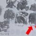 《Pokemon》设计原案初次公开!Gyarados的原型竟然是这幅模样?!