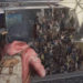 《World War Z》20分钟试玩影片太可怕！纽约僵尸军队如海啸让玩家头皮发麻！