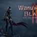 Wanuxi评测《Blade II The Return of Evil》！一身好肉+超赞战斗系统 = 超肝砍杀型游戏！
