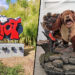 Wanuxi到Riot Games LA World总部的半日游!Riot Games不忘粉丝, 在墙上挂了粉丝绘图!现场超多《LOL》周边商品!