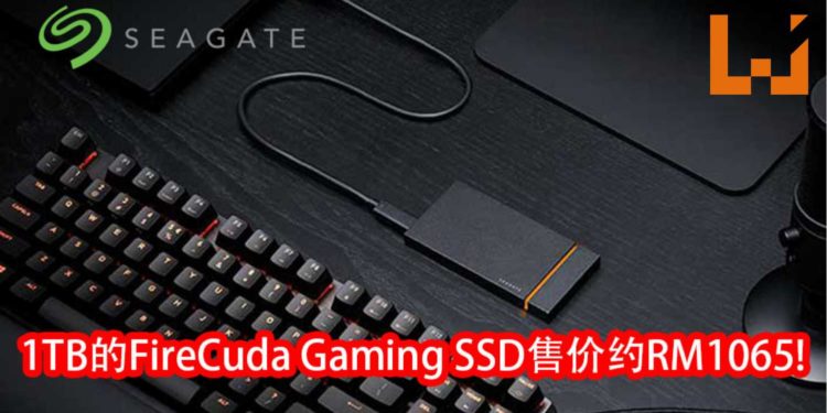 Seagate公布两款不同玩家需求的SSD！同时具备500GB、1TB和2TB的容量选择！