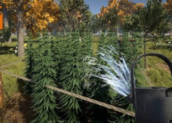 《Weed Farmer Simulator》预定2月登陆Steam平台！日后可能加入多人模式，让你和朋友一起种植大麻！