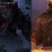 国外插画家释出《Monster Hunter》系列怪物手绘作品！怪物样貌非常逼真！