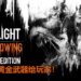 《Dying Light》又突破一个里程碑！官方限时免费送《Dying Light》黄金武器！