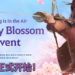 欢庆春天的到来！《Black Desert》正式开启『樱花祭』系列活动！