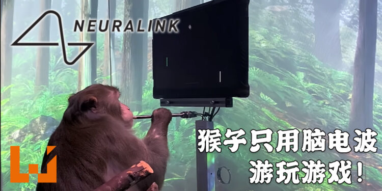 9岁猕猴只用脑电波玩游戏！脑机接口技术重大突破！