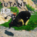 Wanuxi评测《Biomutant》！具有无限可能的功夫浣熊动作游戏！