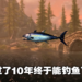 《The Elder Scrolls V：Skyrim》又又又推出次世代加强版！11月11日特别版玩家可免费升级！