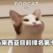 我TM点爆！《Pop Cat》迷因改编小游戏吸引全世界疯狂点击，马来西亚挺进第十名！