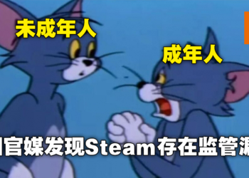 中国官媒报道指出Steam并无防沉迷机制，存在监管漏洞！中国网友：管管未成年救救成年人！