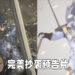 预告片从头抄到尾！《斗罗大陆：魂师对决》完美复制《FF 14》资料片预告！