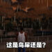 《GTA：三部曲》奇怪Bug合辑！橡胶拳、空气墙还有不知名的白色液体！