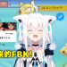 hololive Vtuber白上吹雪成功获得闪光鲤鱼王以及Twitter官方认证!今年最美的圣诞奇迹!