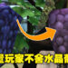 水晶葡萄已经被官方「整容」好了！大量玩家集体悼念当初的水晶葡萄！