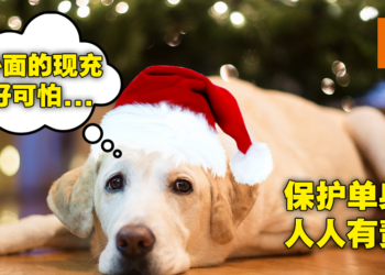 拒绝撒狗粮，现充都给我爆炸吧！献给单身狗玩家的圣诞节生存指南！