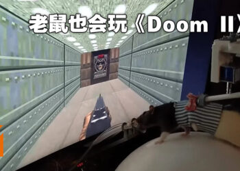 连老鼠也来玩《Doom II》啦！还想要在Twitch上直播！