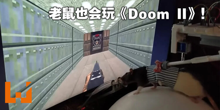 连老鼠也来玩《Doom II》啦!还想要在Twitch上直播!
