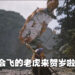 《黑神话：悟空》搞笑影片贺岁！杨奇突然性转、老虎也会飞天！