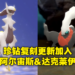 《Pokemon Brilliant Diamond & Shining Pearl》更新幻之宝可梦剧情！可入手阿尔宙斯和达克莱伊！