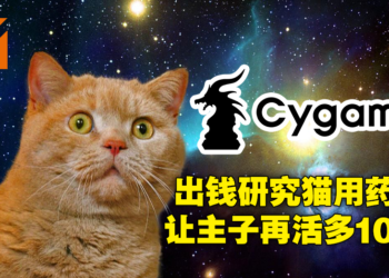 拿课长的钱让猫再活十年！《赛马娘》开发商Cygames捐款研究所研究药物延长猫的寿命！