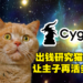 拿课长的钱让猫再活十年！《赛马娘》开发商Cygames捐款研究所研究药物延长猫的寿命！