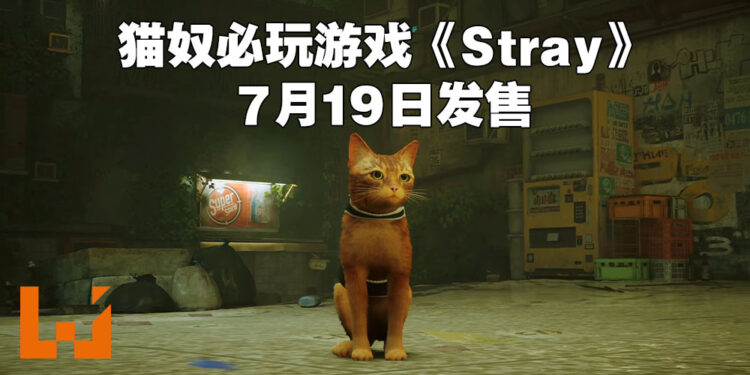 【State of Play】超可爱猫咪赛博庞克风游戏《Stray》会在7月19日发售！PS Plus Extra以及Premium会员在游戏发售后可免费游玩！