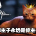 意料之中！本周Steam游戏销量排行冠军为《Stray》，主子当然要登顶才是！