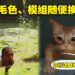 《Stray》Mod大合集!各种颜色、各种模组替换,还有人将猫叫换成放屁声!