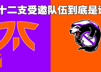 The International 11第十二名队伍闹双包！Fnatic今早才知道自己收到直接邀请！