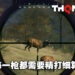 体验真实并考验耐心的打猎模拟游戏！《Way of The Hunter》评测！