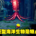 怪物一样的大鱼,是这款游戏的特点!《Ace Angler: Fishing Spirits》制作人Yayoi Tomidokoro专访!