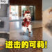 到处都是可莉在跳舞！你们都试了TikTok的AR可莉滤镜了吗？