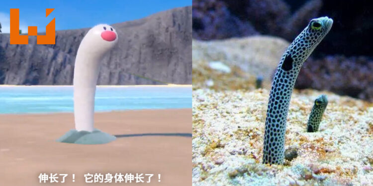 这不就是花园鳗？《宝可梦 朱&紫》新宝可梦「海地鼠」出现各种迷因！