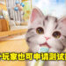 猫猫养成手游《我和我的猫》开启测试招募!海外玩家也可申请!