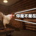 被大鸡鸡疯狂追杀！恐怖游戏《Chicken Feet》预计10月在Steam平台发售！