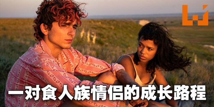 《Bones and All》微剧透影评！食人族情侣的寻人之旅！