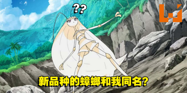 新加坡发现全新品种的蟑螂！外形酷似某只宝可梦，已命名为「费洛美螂」！