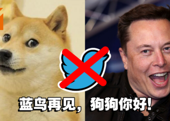 有钱就是任性！Elon Musk大手一挥，把Twitter的蓝色小鸟变成狗狗啦！